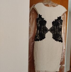 Lace White/Black Tadashi Shoji Dress